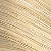 Color Perfect 10N Very Light Blonde Permanent Creme Gel Haircolor