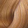 Color Touch Plus 88/03 Intense Light Blonde/Natural Gold Demi-Permanent