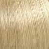 Illumina Color 10/1 Lightest Ash Blonde Permanent Hair Color