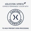 Koleston Xpress Touch-Up Kit - Light