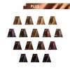 Color Touch Plus 66/03 Intense Dark Blonde/Natural Gold Demi-Permanent