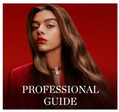 Professional Guide 