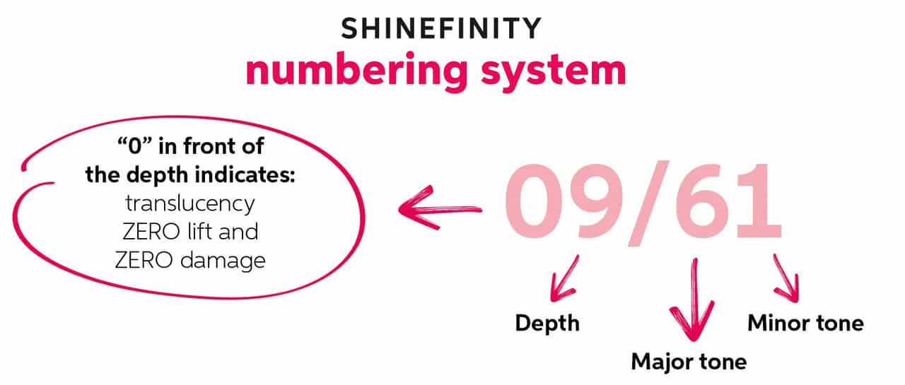 shinefinity toptips numbering