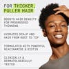 Nioxin Scalp + Hair Thickening System 2