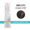 Color Charm Permanent Gel 5BC Fudge Pop