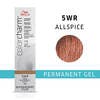 Color Charm Permanent Gel 5WR Allspice