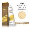 Crème Permanente 12G High Lift Golden Blonde
