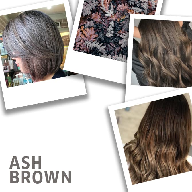Your Guide to Wella’s Hair Color Charts Wellastore